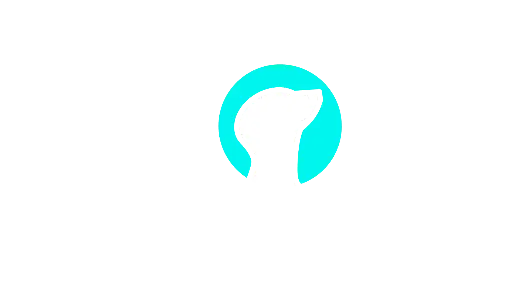 Suricatta